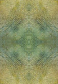 pathkaleido pathkaleido