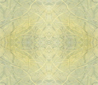 treekaleido treekaleido