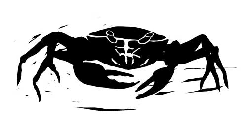 crab_front2
