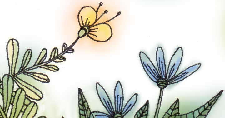 Drawing of yellow and blue flowers.